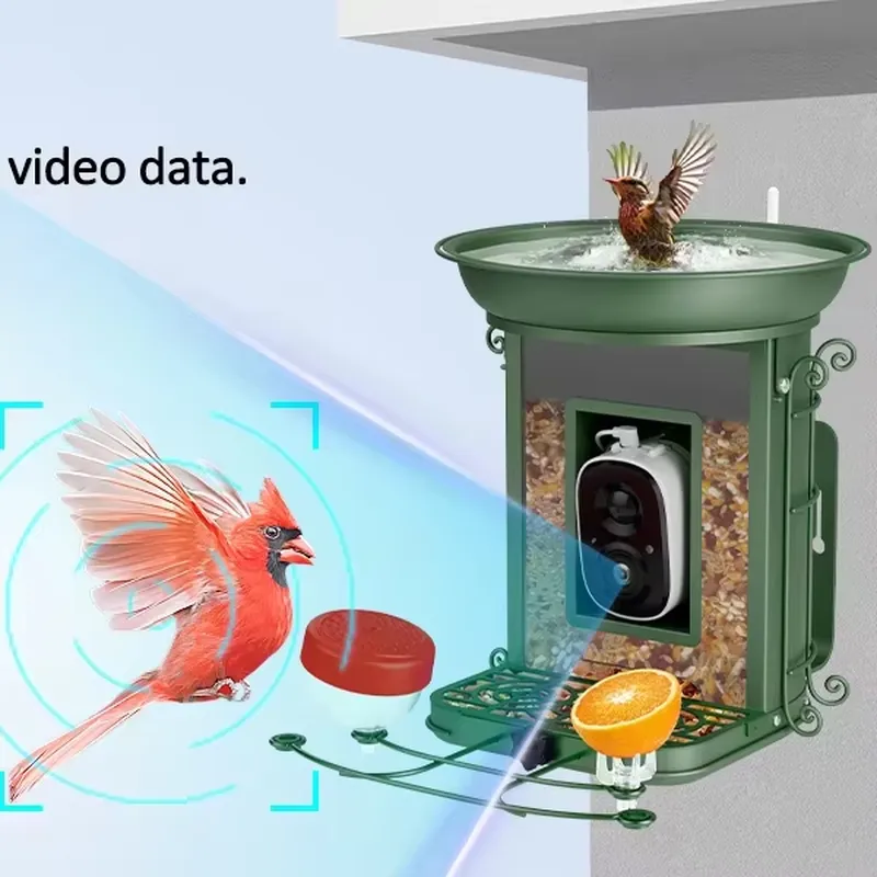 Solar-powered smart bird feede - Power Tools Ai review and price