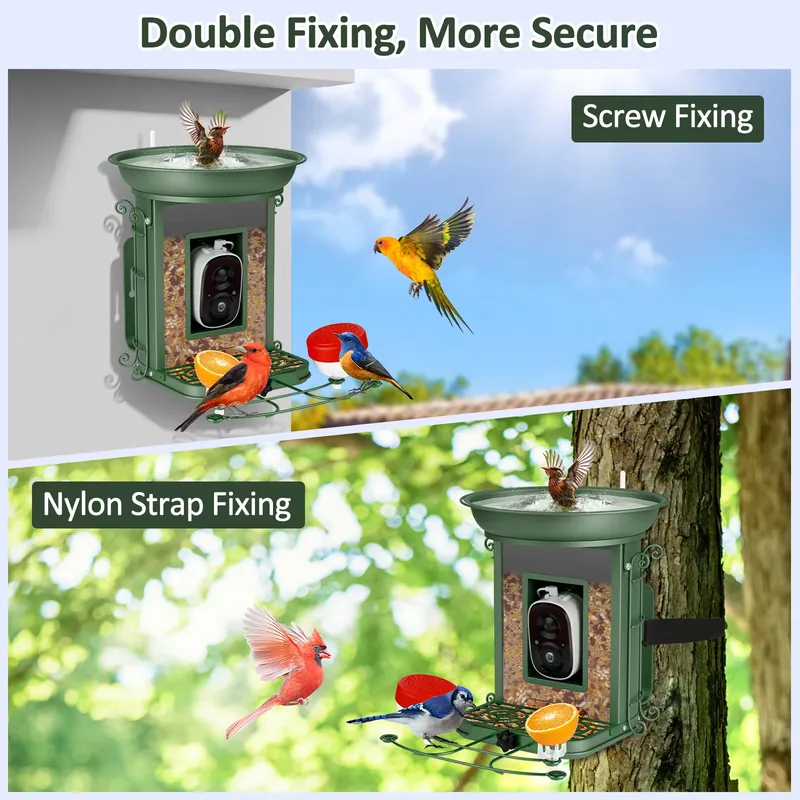Solar-powered smart bird feede - Power Tools Ai review and price