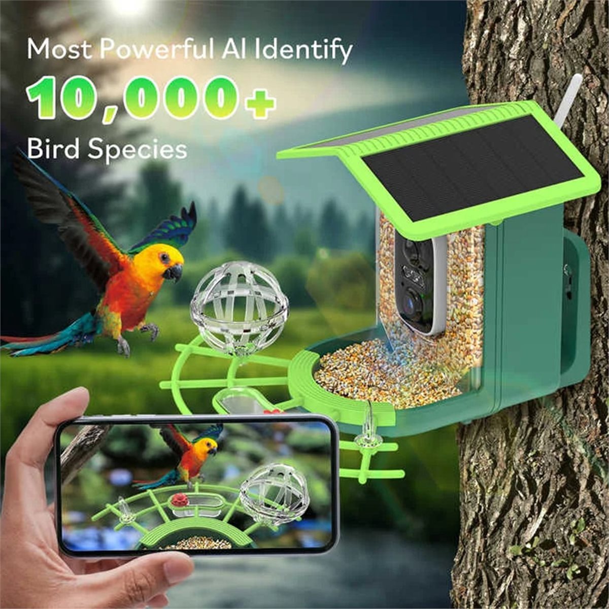 ABPP Smart Bird Feeder Camera  - Power Tools Ai review and price